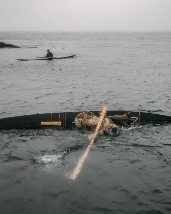 Greenland Roll, Kayak Championships